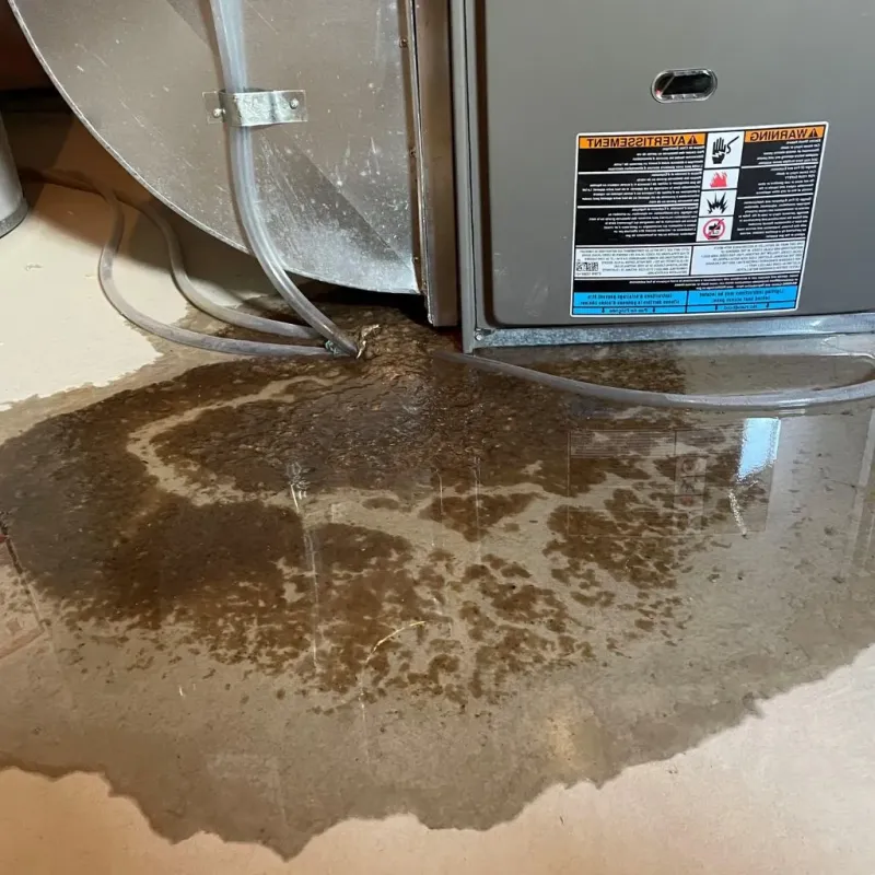 Pipe Burst and Leak Restoration in Tarpon Springs, FL