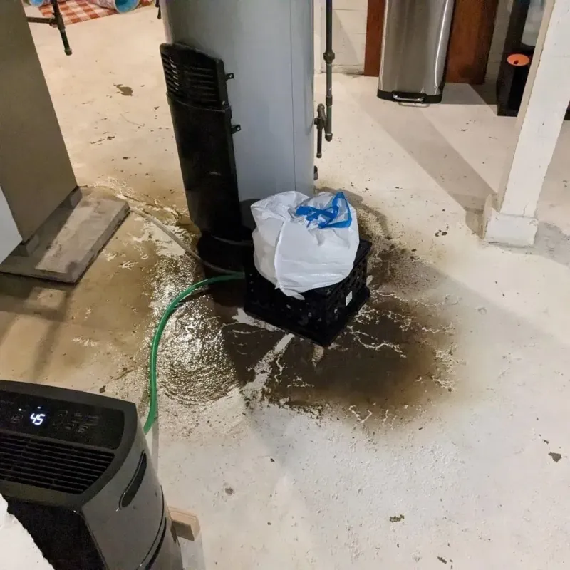 Sewage Backup Cleanup Service in Tarpon Springs, FL